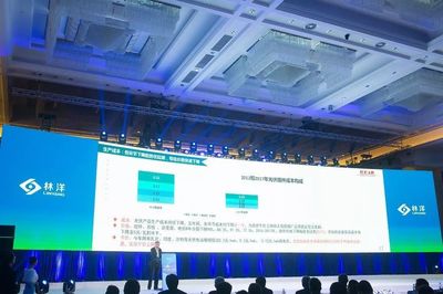 引領N型技術新浪潮，林洋能源發布高效N型單晶雙面組件